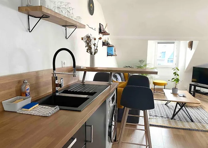 Bel De Charme, Calme Au Centre Mh 公寓 *